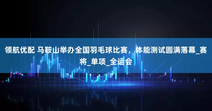 领航优配 马鞍山举办全国羽毛球比赛，体能测试圆满落幕_赛将_单项_全运会