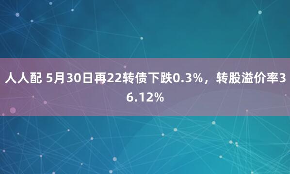 人人配 5月30日再22转债下跌0.3%，转股溢价率36.12%