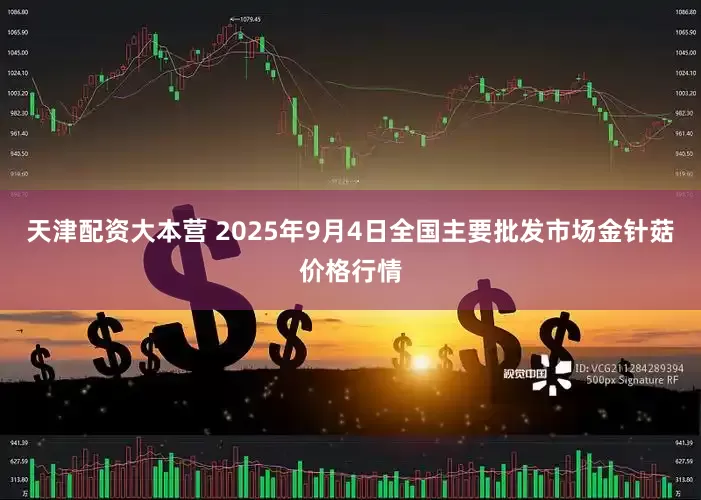 天津配资大本营 2025年9月4日全国主要批发市场金针菇价格行情