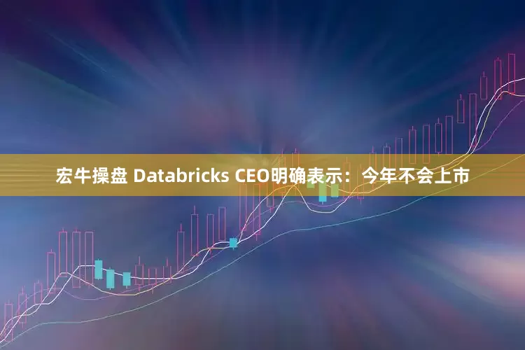 宏牛操盘 Databricks CEO明确表示：今年不会上市